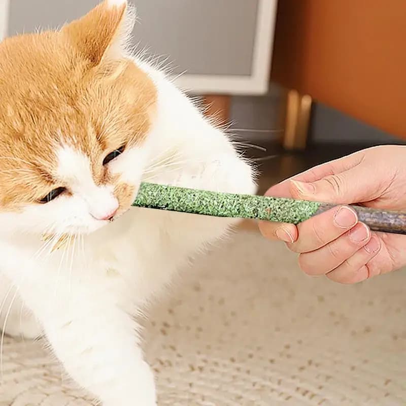 Cat Grass Sticks Indoor Cat Teething Grass Sticks Teething Stick Snacks For Cats Cat Grass Sticks For Hairball Removal - 5