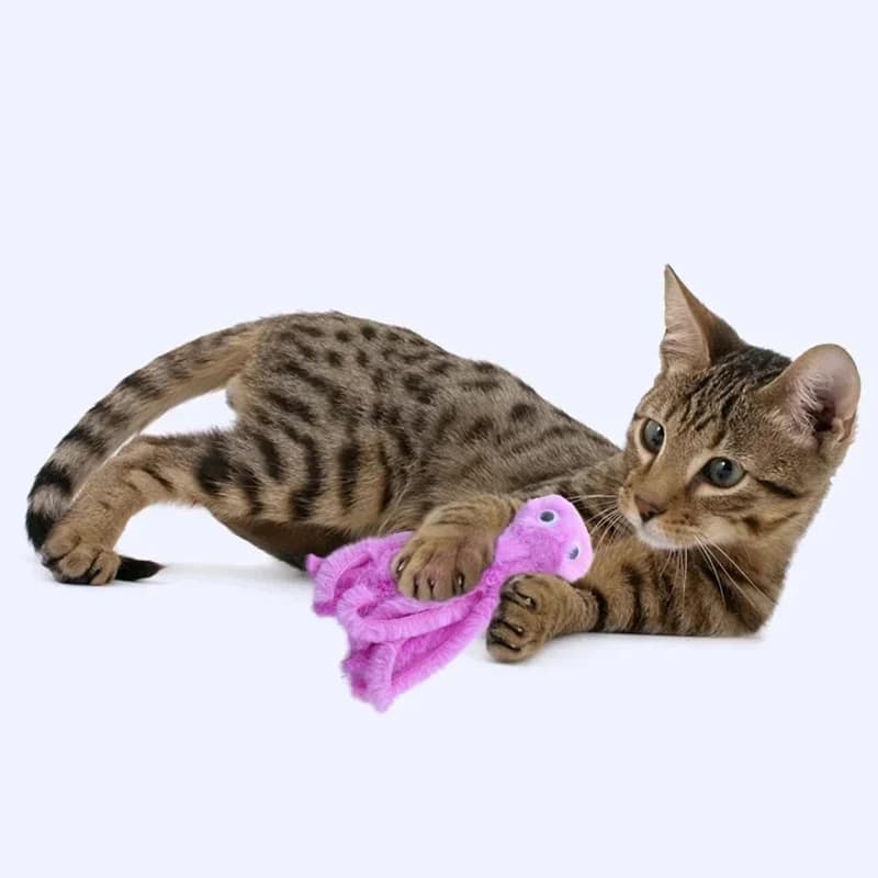 Cat Toy Cute Octopus Plush Toy Bite Resistant Teeth Interactive Play Pet Supplies Cat Dog Toys Octopus - 2