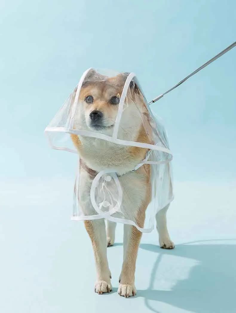 Dogs going out, transparent waterproof raincoat with hat pet raincoat - 5