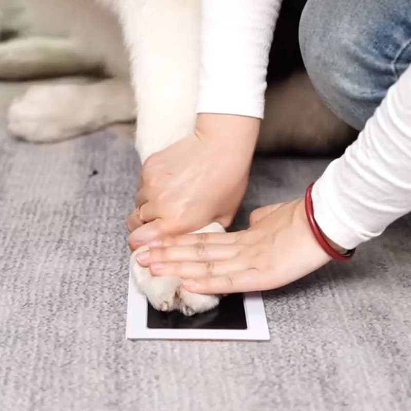 مجموعة حبر لبصمات أقدام الكلاب والقطط آمنة وغير سامة لبصمات أيدي الأطفال سهلة التنظيف بدون غسل تذكارات أليفة مصنوعة يدويًا - 3