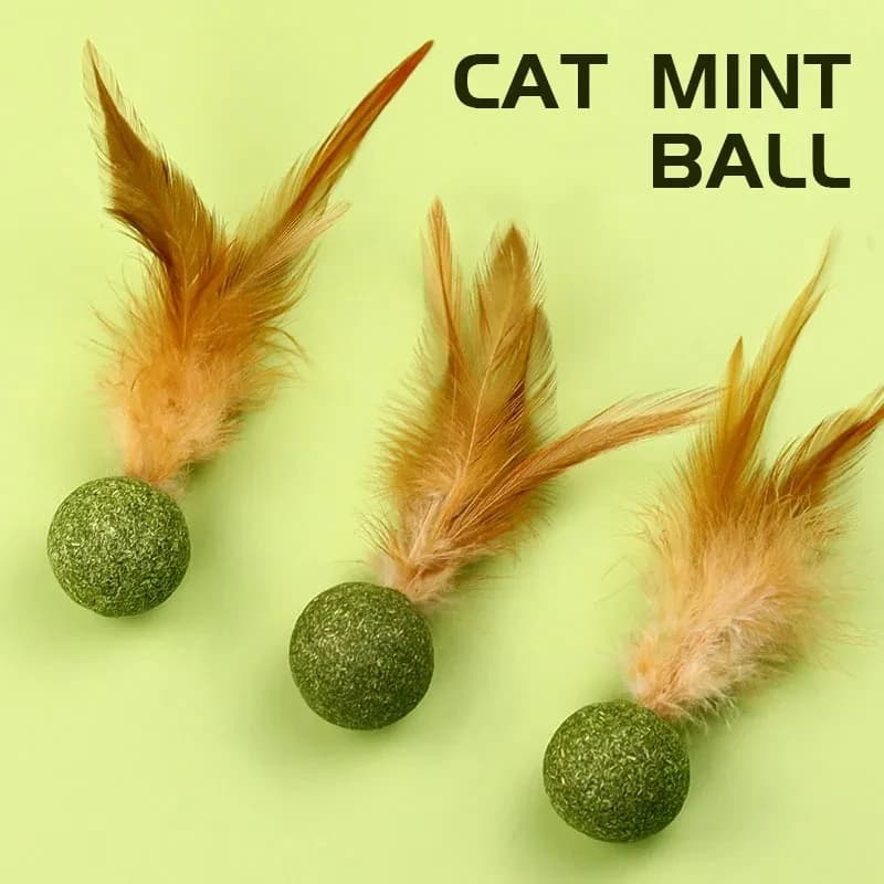 Pet Catnip Toys Edible Catnip Ball Safety Healthy Cat Mint Cats Home Chasing Game Toy Products Clean Teeth Cat Mint Ball - 2
