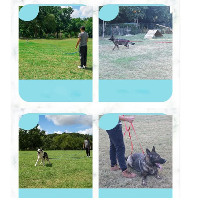 Extra Long Polypropylene Pet Leash Heavy Duty Dog Training Lead Anti Tear Tracking Rope Outdoor Walking Safe Control - 6