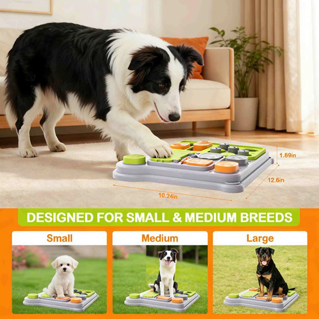 Dog Puzzle Toy & Pet Feeder - Treat Dispensing Toy for IQ Training, New Arrival, Ideal for Small/Medium Dogs - 6