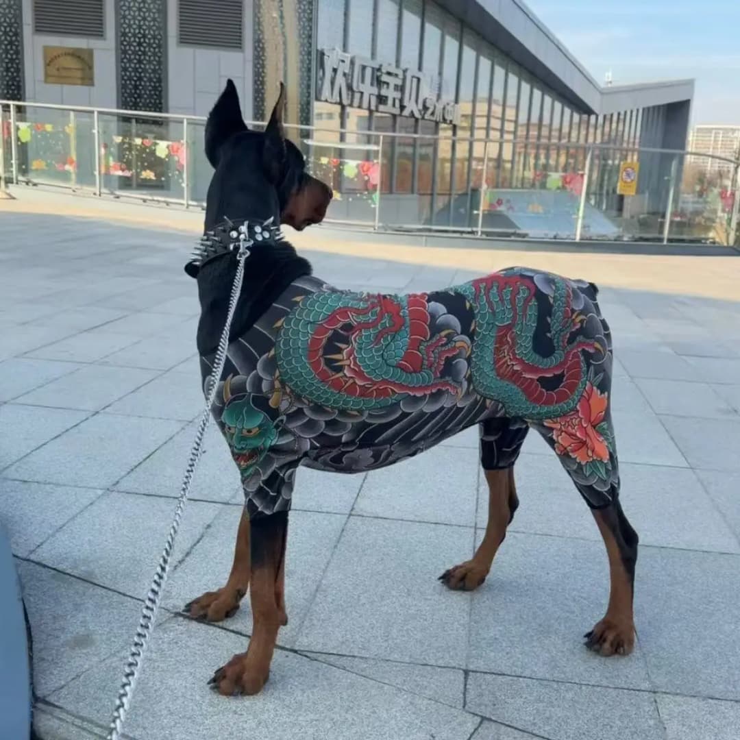 ملابس للحيوانات الأليفة مع وشم، مناسبة للكلاب والقطط، تصميم عصري ومرح، مناسب لجميع الفصول - 2