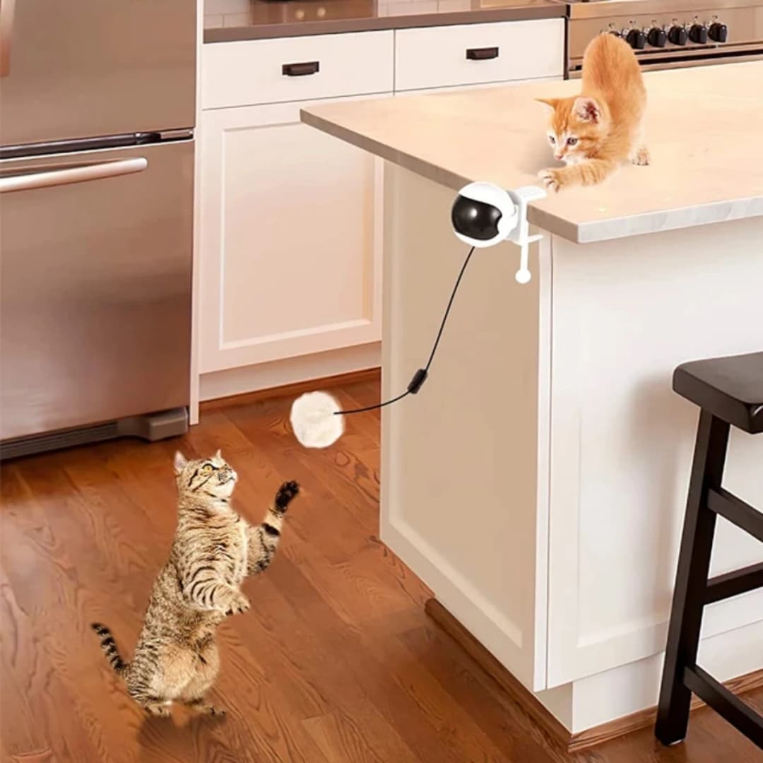1Pc Fun Lifting Ball Electric Motion Cat Toy With Automatic Retractable Cat Teasing Ball Rotating Interactive Puzzle Pet Toys - 4
