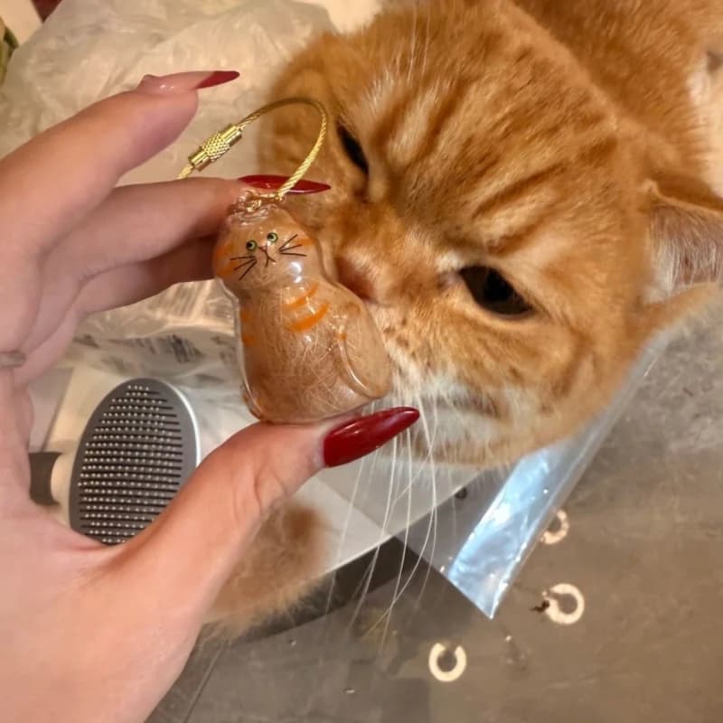 Ginger Cat Keychain Pendant Backpack Siamese Calico Hair Storage Box Hanging Pet Grooming Souvenir Travel Accessory - 5