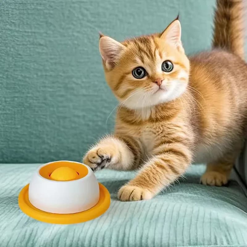 لوازم كلاب جديدة مضادة للانقلاب، ألعاب مقاومة للعض والملل للقطط والكلاب الصغيرة، أدوات لعق للحيوانات الأليفة - 3