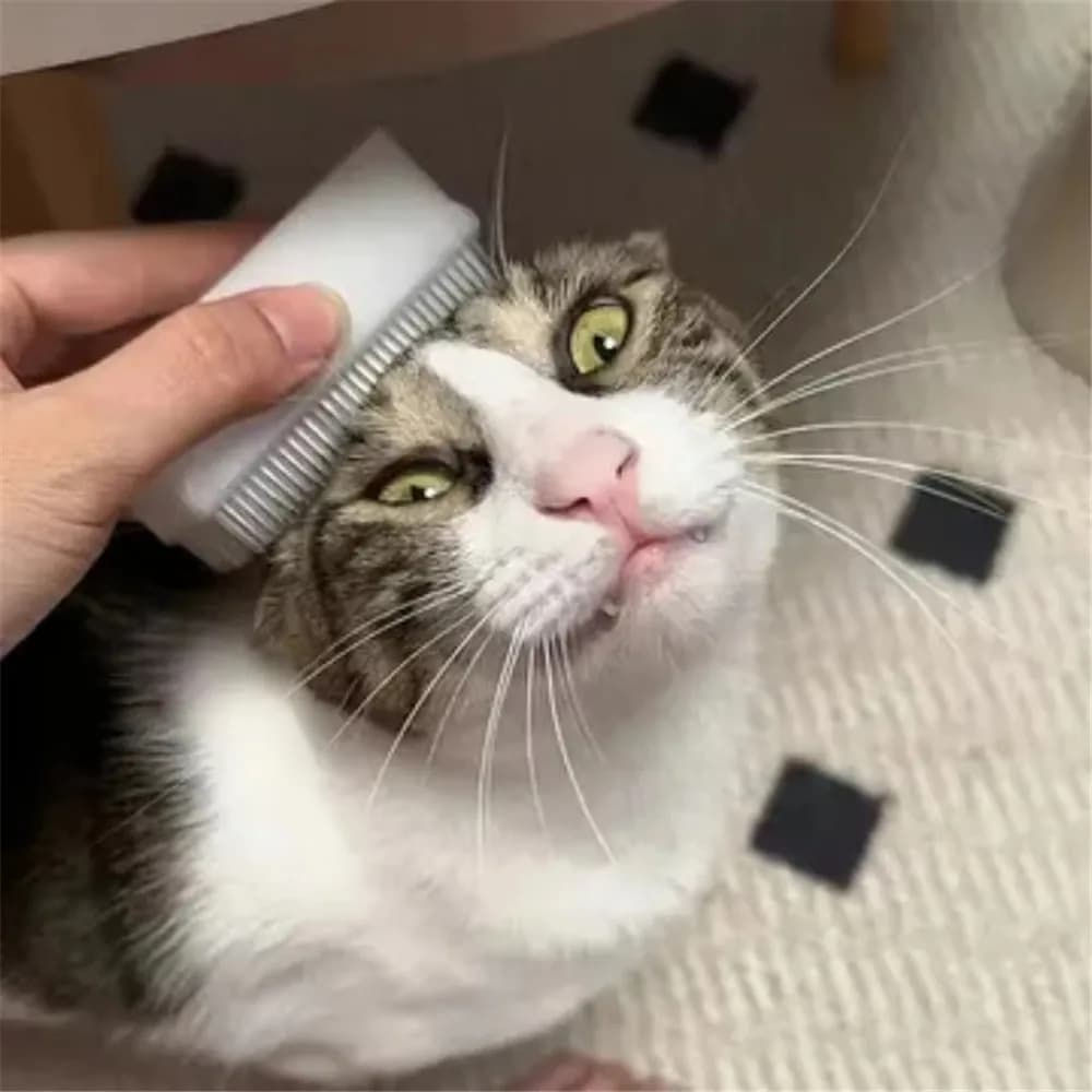 Cat Massage Brush Tongue Sensory Cleaning Brush Soft Cat and Dog Tongue Coating Brush Double-sided Sponge Cat Unzip Tongue Comb - 5