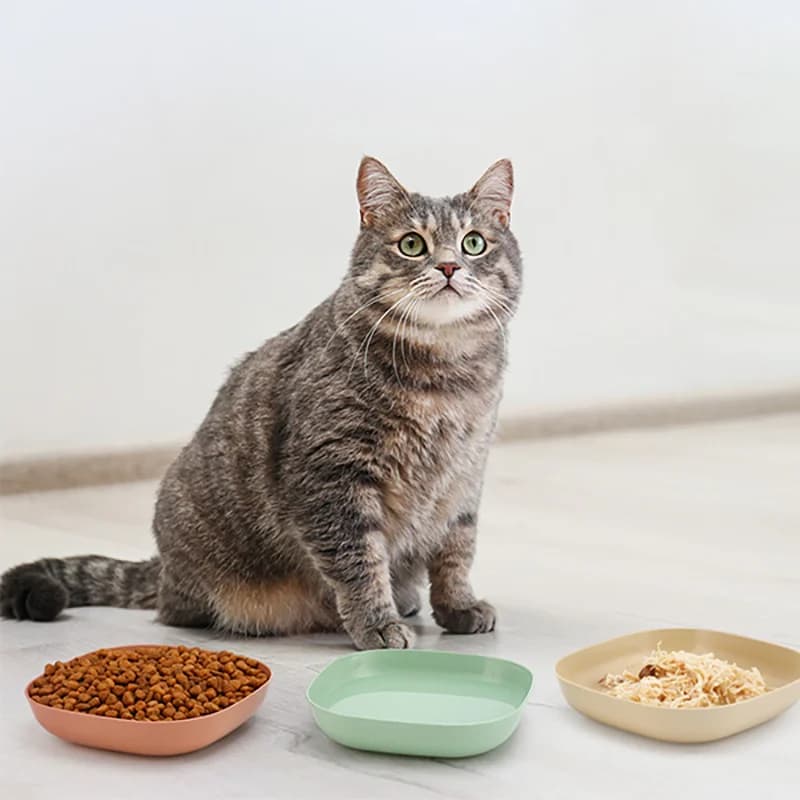 3/10/20pcs Non-Slip Plastic Cat Bowls Set Shallow Pet Food & Water Dishes Suitable for Kittens Short Leg Cat Ferrets Stray Cats - 4