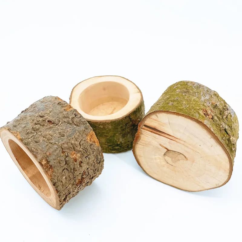 وعاء طعام من خشب الفاكهة للهامستر والدب الذهبي والسنجاب، ألعاب قضم للسنجاب، أوعية طعام للحيوانات الصغيرة D9136 - 4