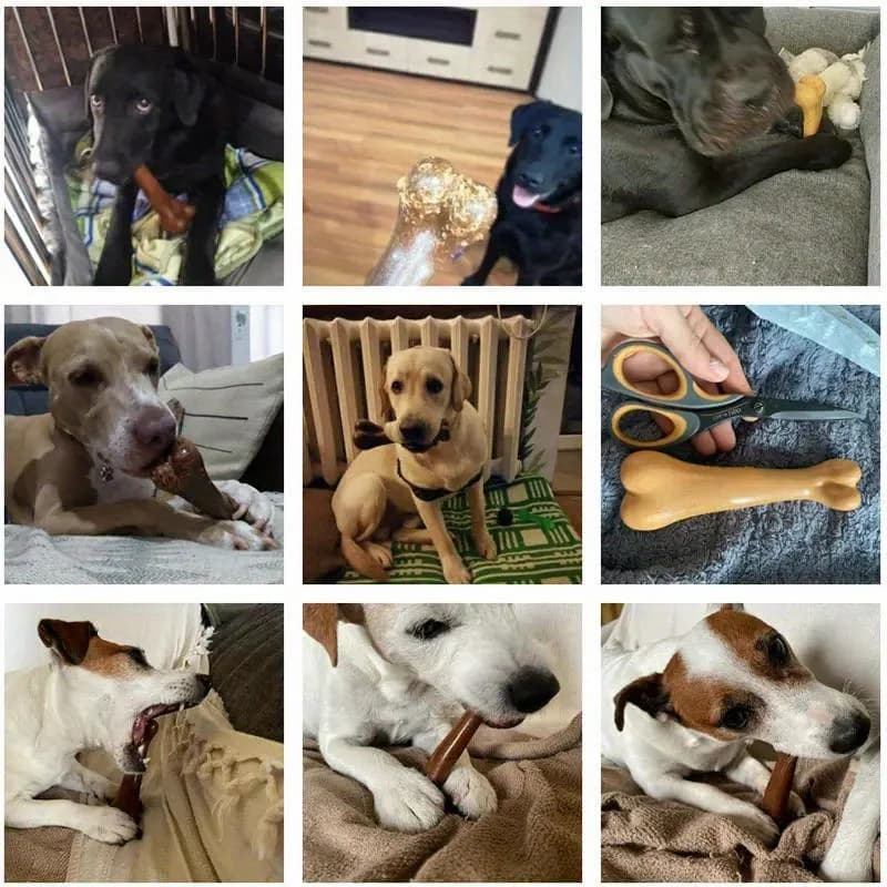 Natural Dog Chew Toy Bone Molar Stick Bite Resistant Puppy Teething Toys Indestructible Small Medium Large Snack Food Pet Toy - 3