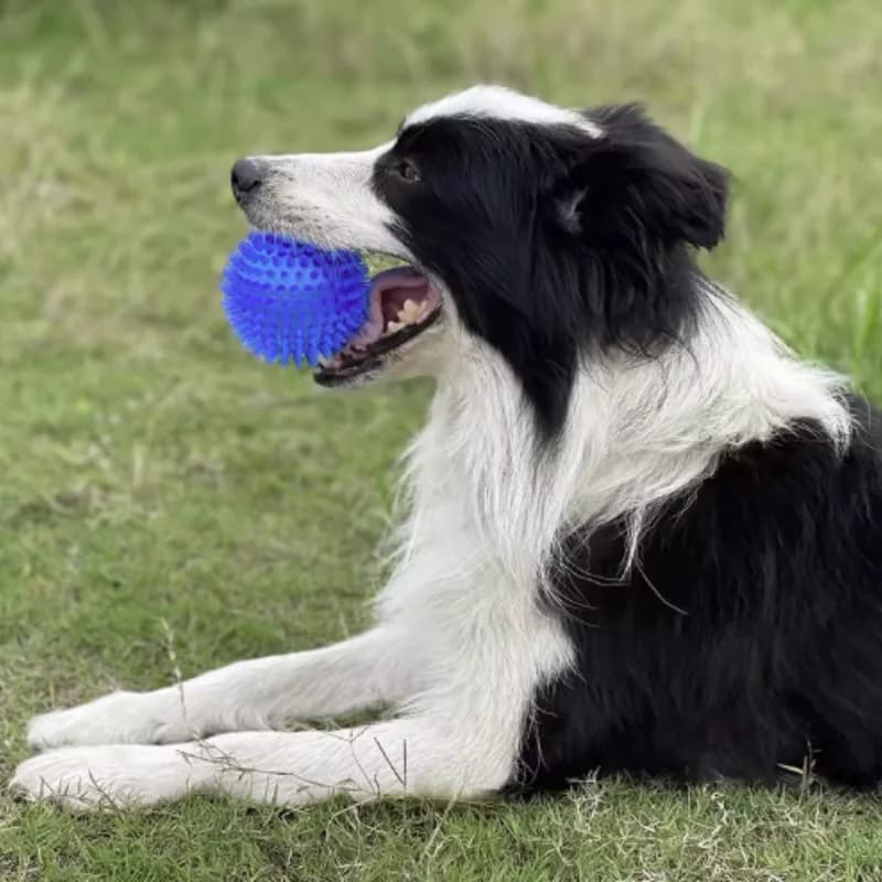 Squeaky Puppy Big Dog Ball Chew Toy for Small Medium Dogs Teeth Cleaning Pet Accessory Ideal for French Bulldogs Corgis - 5