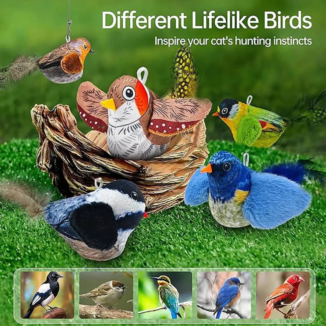 Indoor Interactive Birds Toy for Cat Chasing Teasing Toy Sounding Catnip Cat Teaser Toy Self-hilarity Wall Hanging Birds Cat Toy - 5