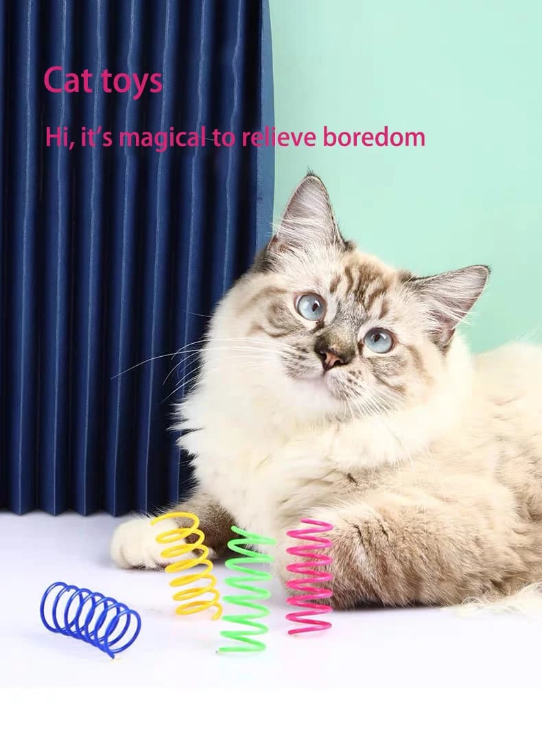 4 قطع ألعاب قطط صغيرة، نوابض ملونة متينة وقوية، ألعاب تفاعلية للحيوانات الأليفة - 6