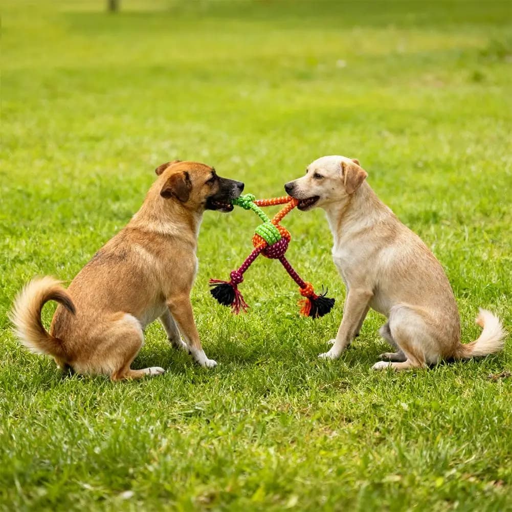 Durable Bite-Resistant Interactive Knot Toy for Dogs- Chewable Rope with Green&Orange Fringes,Playful Design, Dog Toys - 3