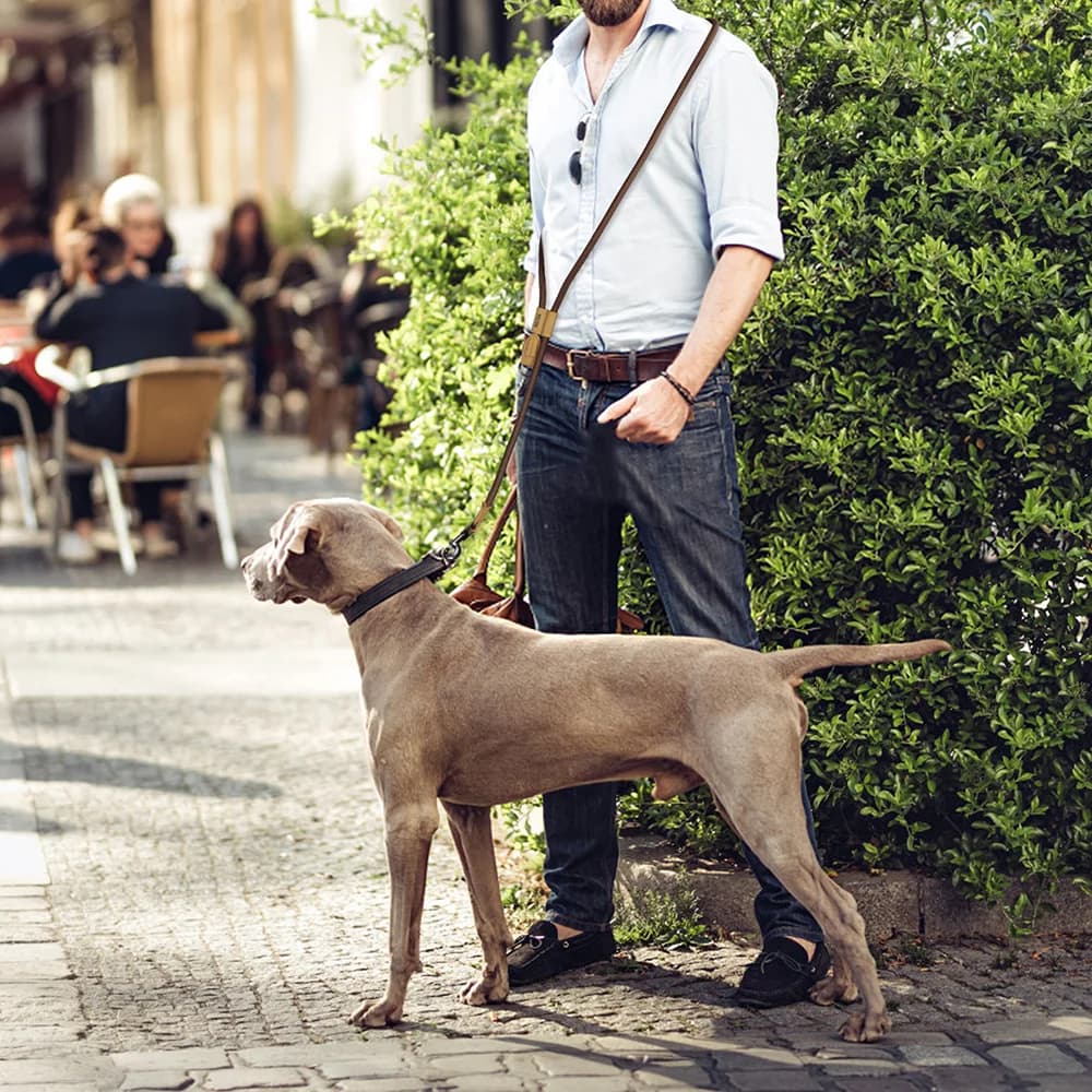 1.8M Large Dog Leash Waist Chain Traction For Running Walking Adjustment Simplicity Hands Free Dog Leash Leashes - 4
