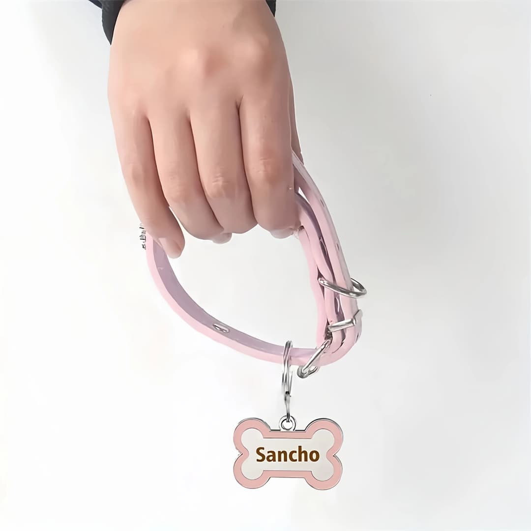 طوق كلاب مخصص من الجلد مع بطاقة على شكل عظم، نقش مزدوج باسم الحيوان الأليف ورقم الهاتف، زخرفة معدنية مقاومة للفقدان - 4