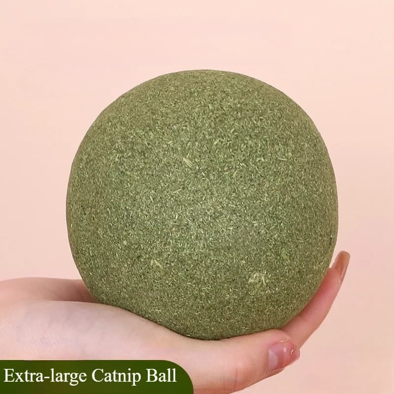Extra-large 10CM Catnip Balls Galls Fruit Balls Self-amusement and Stress Relief Catnip toy for Grinding Teeth Large Mint Ball - 2