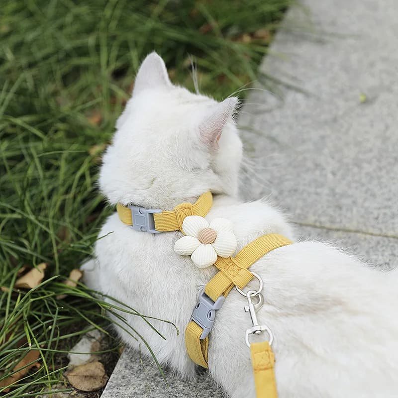 Cat Harness and Leash Sets Adjustable Dog Harness for Small Dog Leash Breashable Pet Harness Out Walking Dog Strap Cat Accessory - 4