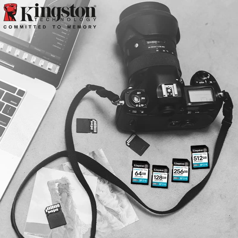 كينجستون SDG4 بطاقة اس دي لكاميرات DSLR وبدون مرآة فيديو 4K V30 C10 بطاقة ذاكرة SDXC بسرعة تصل إلى 200 ميجابايت/ثانية بطاقة فلاش اس دي عالية السرعة - 5