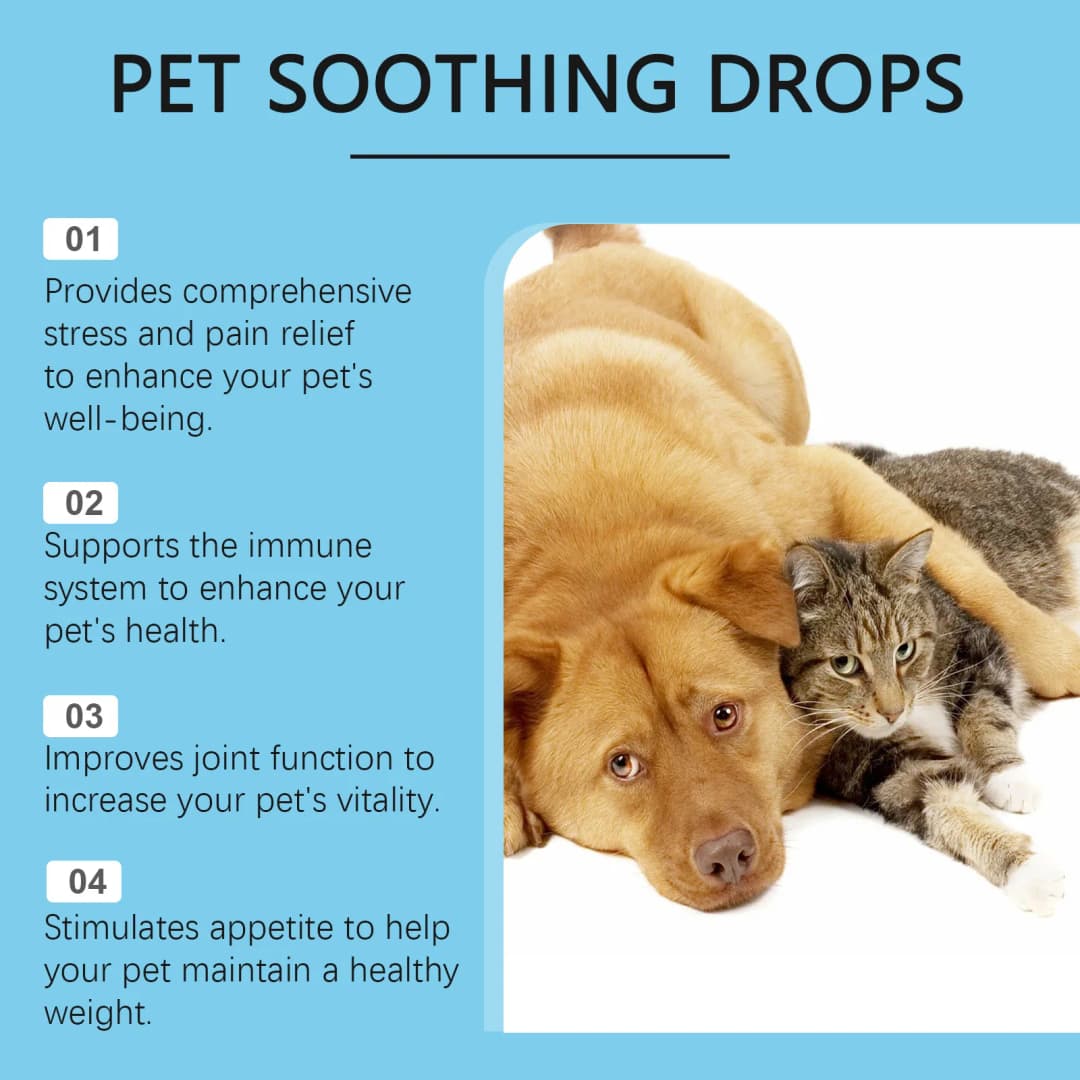 Pet Immunity Boost Care Drops to Relieve Stress and Pain, Enhance Pets' Immunity, Care Supplement for Dogs and Cats - 3