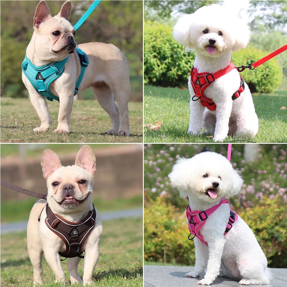 Harness and Leash Set Pet Accessories Dog Harness For Small Dog French Bulldog Pug Pitbull Puppy Pectoral Collar Chiens Supplies - 2