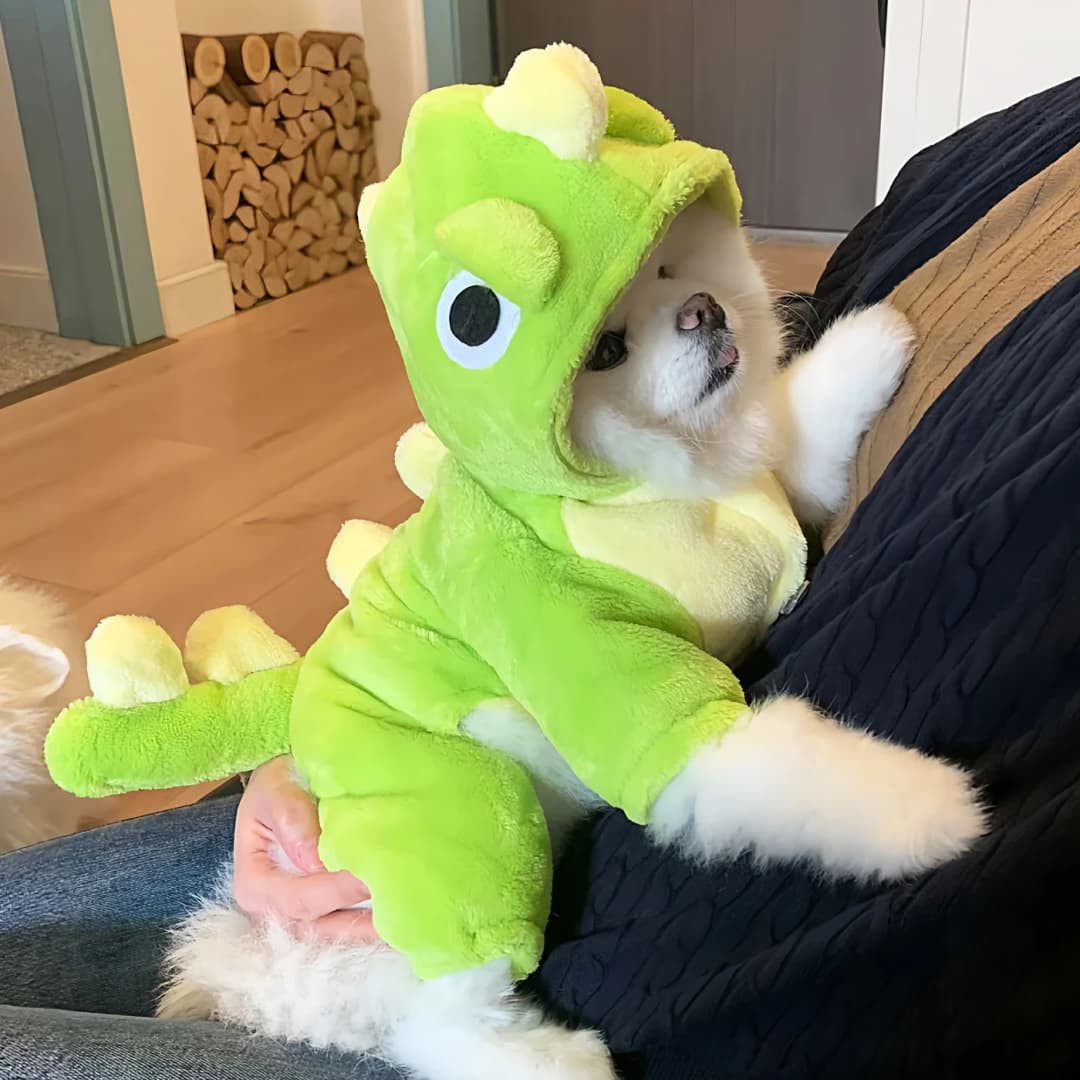 Warm Dinosaur Four-Legged Dog Clothes for Small Dogs And Cats Daily Wear Autumn Winter Cute Costume Pet Apparel Aomar Brand - 2