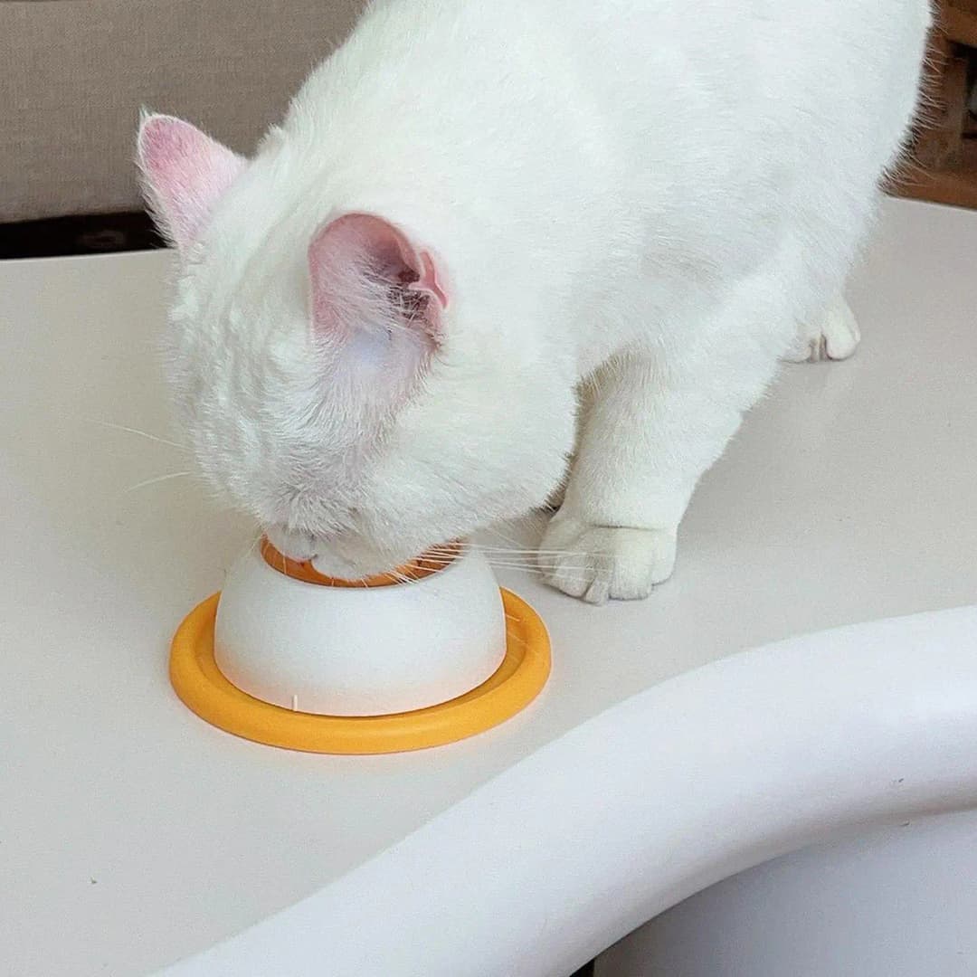 Pet Slow Licking Bowl For Dogs/cats, Non-slip Interactive Puzzle Toy, Healthy Slow Feeder, Reduces Boredom Anxiety, Fun Licking - 4