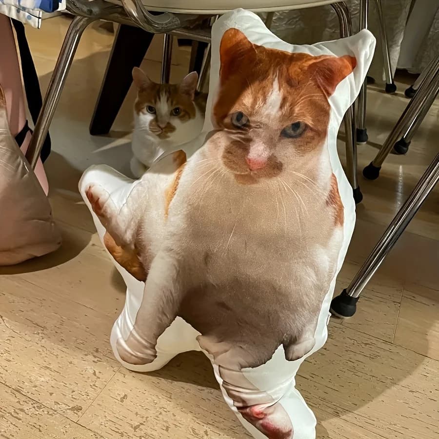 صور مخصصة للحيوانات الأليفة، وسائد ناعمة، وسائد أريكة على شكل قطط وكلاب شخصية للأعمار 14 سنة فما فوق