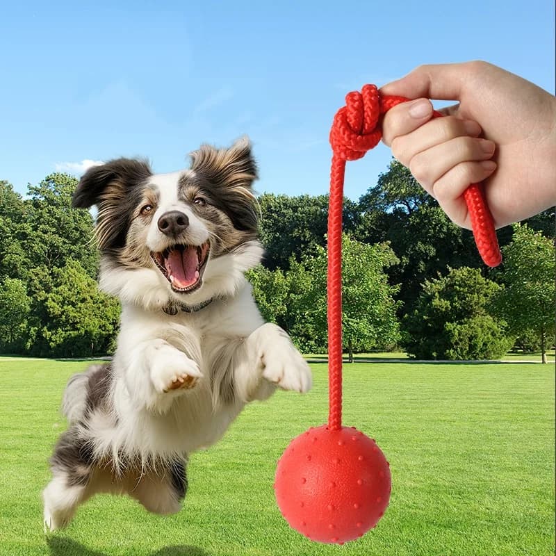 Indestructible Dog Ball Pet Training Dog Toy Puppy Tug Balls Toys Pet Chew Toys Solid Rubber Balls with Rope Pet Toy - 2