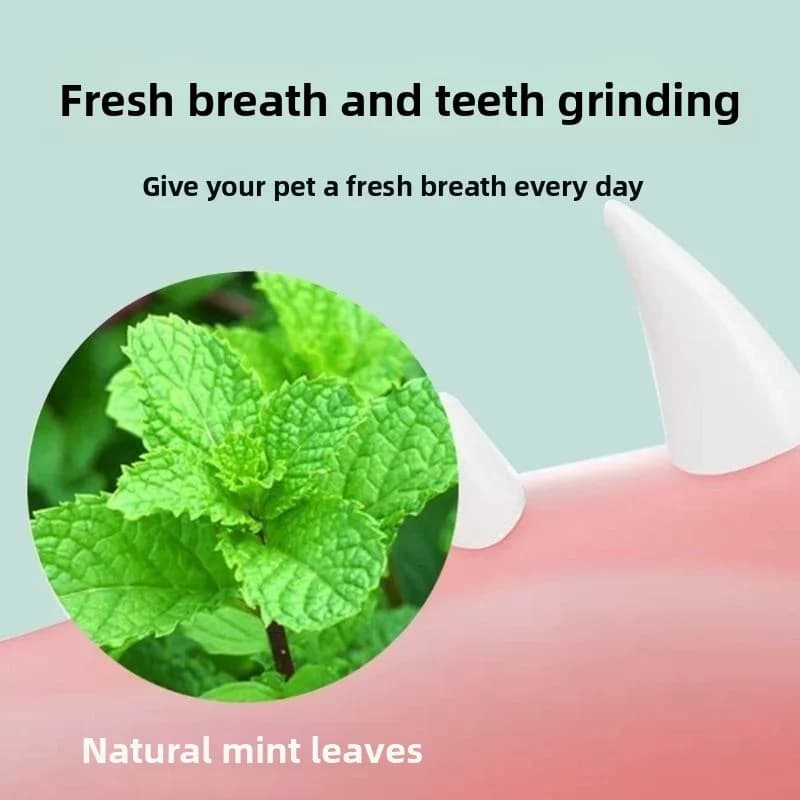 نعناع القطط الطبيعي دوّار ملصق على الحائط خدّاشات مكافآت صحية تزيل الكرات ألعاب نعناع القطط - 4