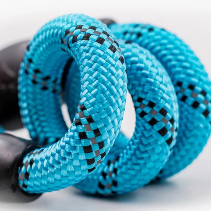 طوق الكلاب سلسلة P أطواق قابلة للتعديل للحيوانات الأليفة سلسلة P لتدريب الكلاب على المشي أطواق الكلاب حبال عاكسة للكلاب إكسسوارات الحيوانات الأليفة - 5