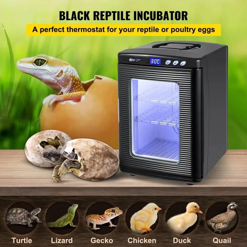 VEVOR Black Reptile Incubator 25L Scientific Incubator Digital Incubator Cooling And Heating 5-60°C Reptile 12V/110V Work - 2