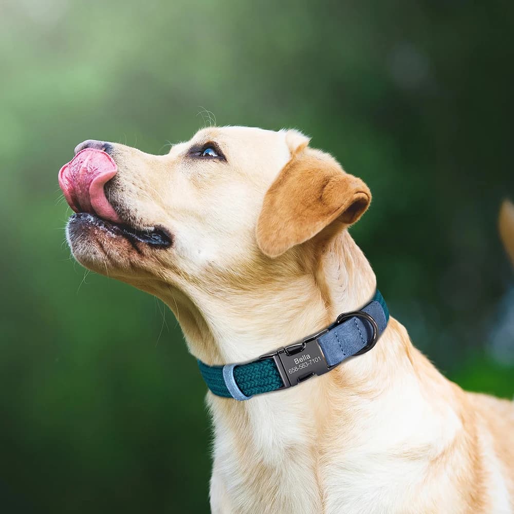 Personalized Nylon Dog Collar Free Engraving Dogs ID Collars With Name Buckle Metal Nameplate for Small Medium Large - 5