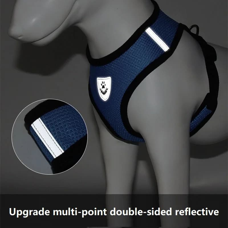 حبل قطة وطوق خيمة قطة حزام طوق للقطط حزام رقبة مضاد للهروب سترة حيوانات أليفة طوق كلب حزام رقبة MBD01 - 4