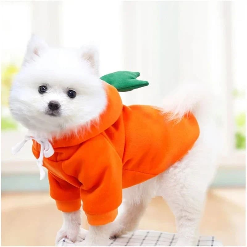 Cute Fruit Dog Clothes for Small Dogs hoodies Warm Fleece Pet Clothing Puppy Cat Costume Coat for French Chihuahua Jacket Suit - 5