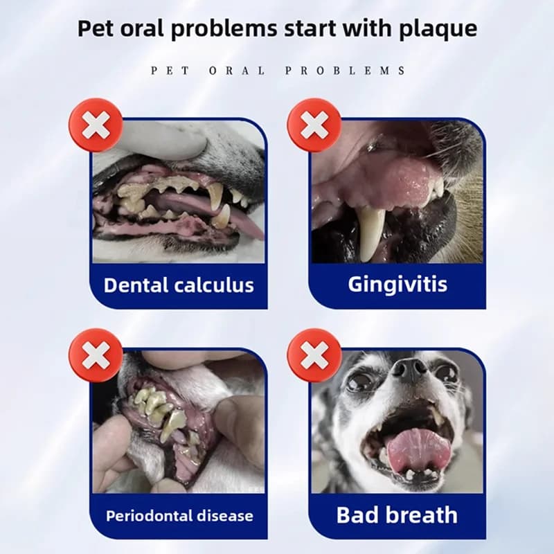 PetClear 120g Pet Toothpaste (Chicken Flavor) - Remove Tartar, Clean Teeth, Freshen Breath, Reduce Plaque for Pets - 3
