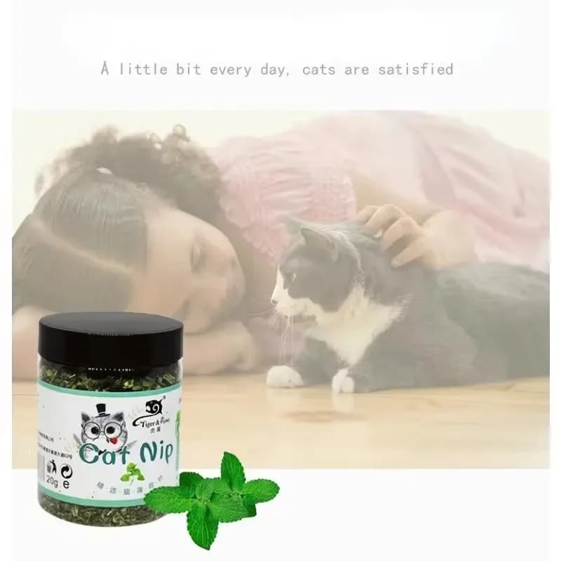 5-40g Organic 100% Cat Nip Natural Catnip Toy Cattle Grass Mint Taste Funny Cat Toy New Cat Interactive Cat Toys Pet Supplies - 3