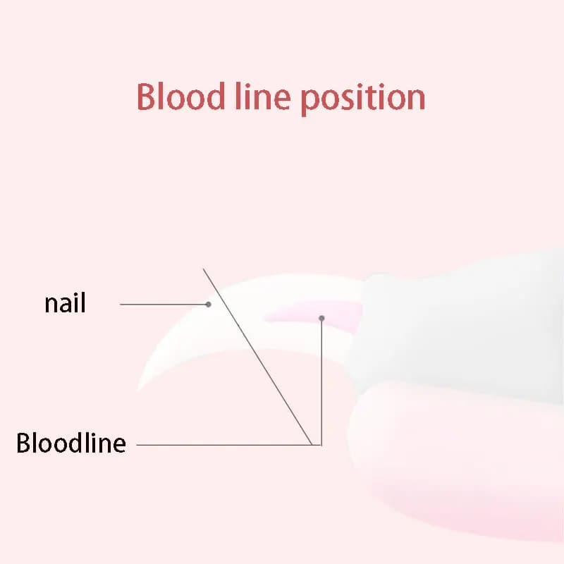 Pet Nail Clippers with Sickle Large Dog Nail Clippers Stainless Steel Grooming Scissors Nail Clippers Multifunctional Teddy Cat - 5