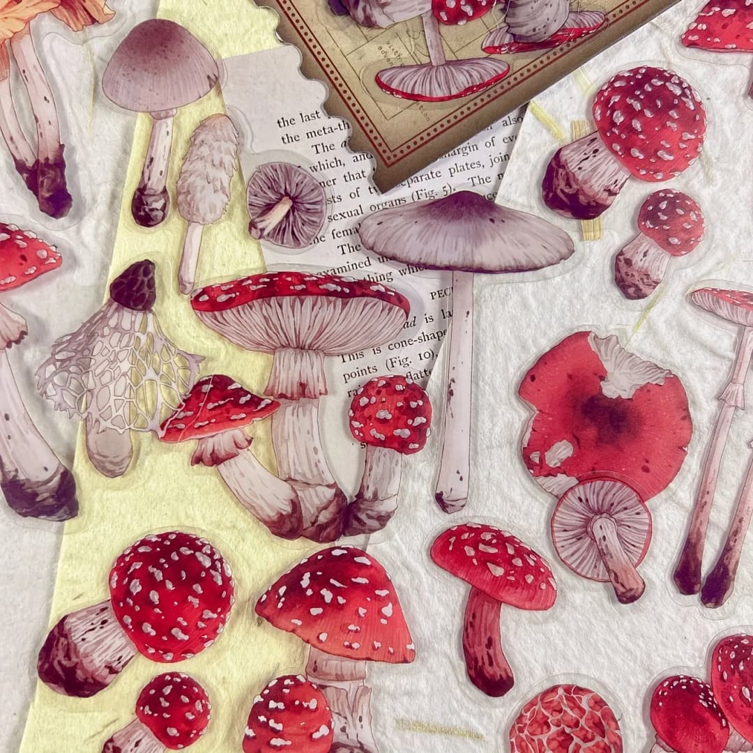 40 ملصق ورقي لموضوع الخريف والفطر، لصنع المجلات وألبومات الصور، لوازم قرطاسية جمالية - 2