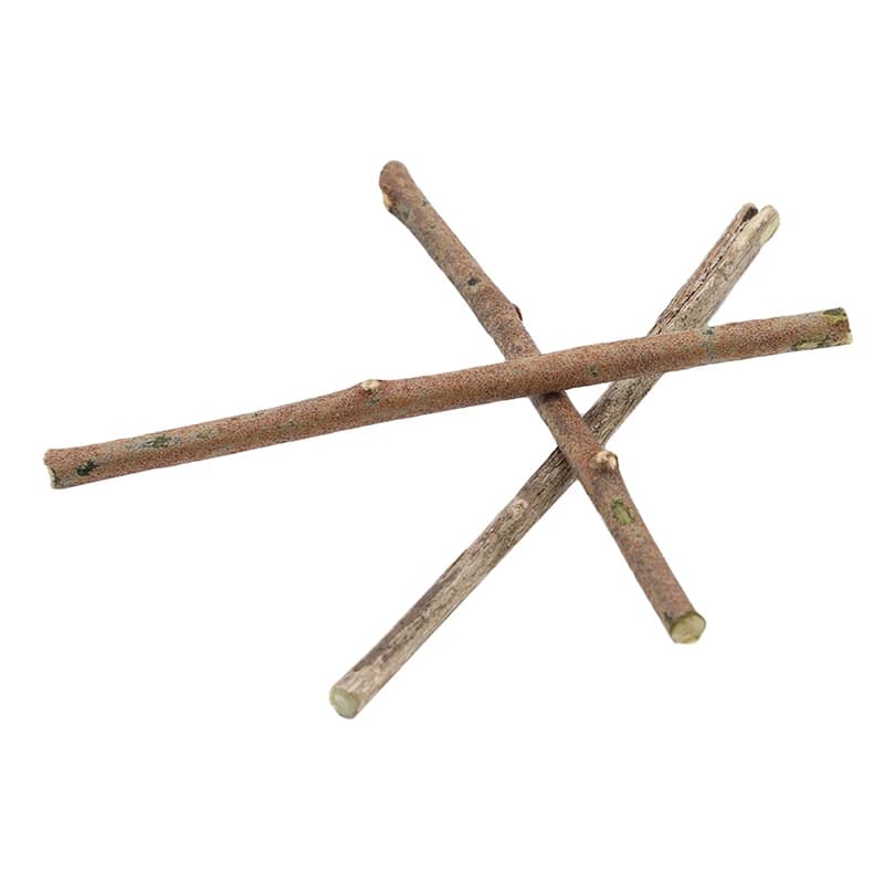 20 قطعة عصا خشبية فرع الصفصاف سجل أقراص العصي DIY بها بنفسك لوازم الحرف لحفل زفاف خلفية اللوحة الديكور - 2