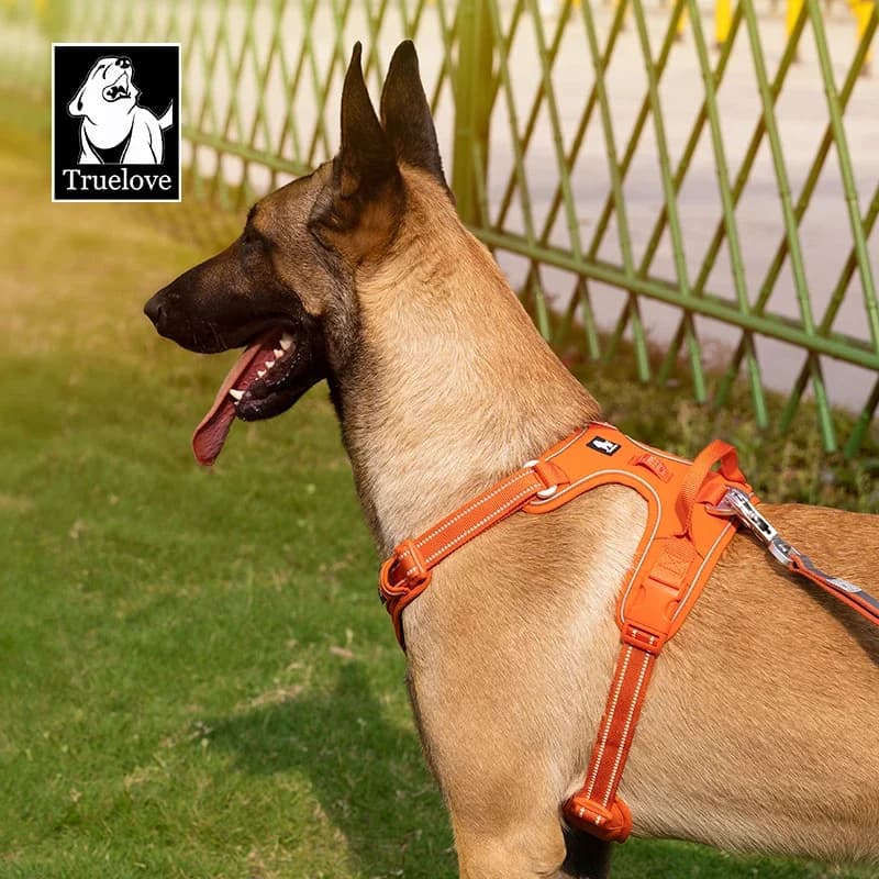 TRUE LOVE Pet Harness No Pull Nylon Reflective Dog Harness Adjustable Comfortable Control Step-in Brilliant Truelove TLH5654 - 6