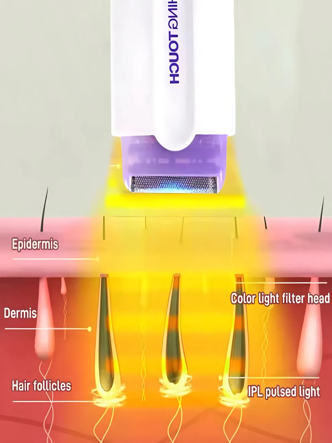 Professional female facial, leg, bikini, hand, body, electric shaver, hair removal device - 5