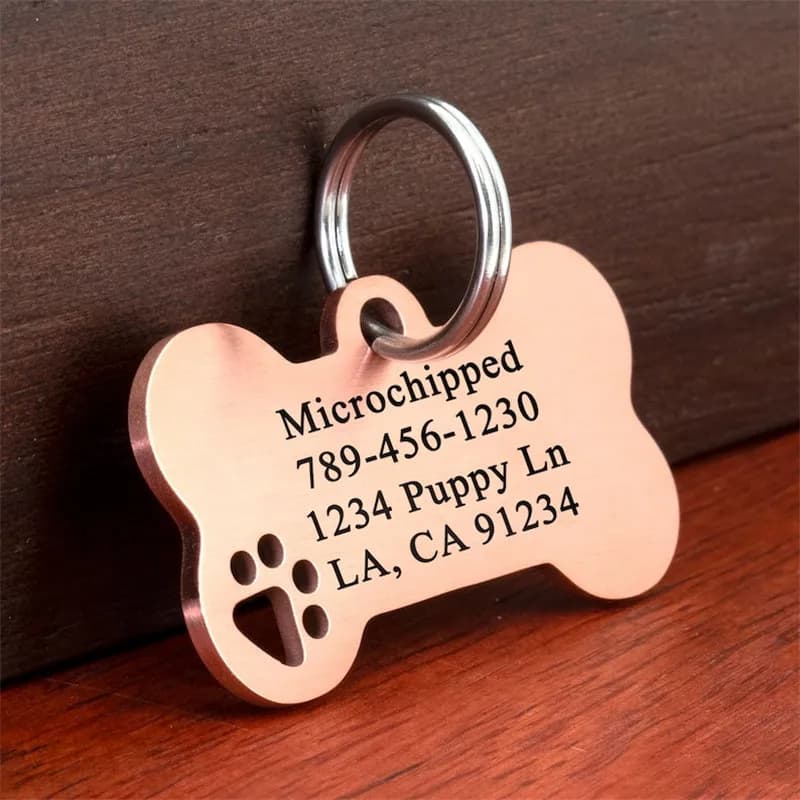 Stainless steel Personalized Engraving Anti-lost Dog ID Tag Customized Pet Name Puppy Collar Dog Cat Bone Tags Pet Supplies - 3