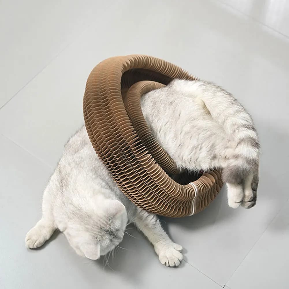 قطعتان من سرير الأكورديون المموج للقطط: لعبة مقاومة للاهتراء وخالية من الوبر لتخفيف الملل للقطط - 5