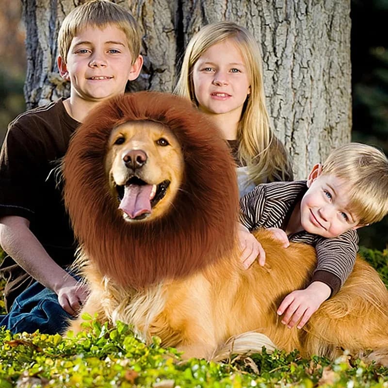 Realistic Lion Mane Wig for Dogs, Pet Cosplay Costume with Ear Holes, Adjustable Fit for Medium Large Dogs, Fun Pet Accessory - 4