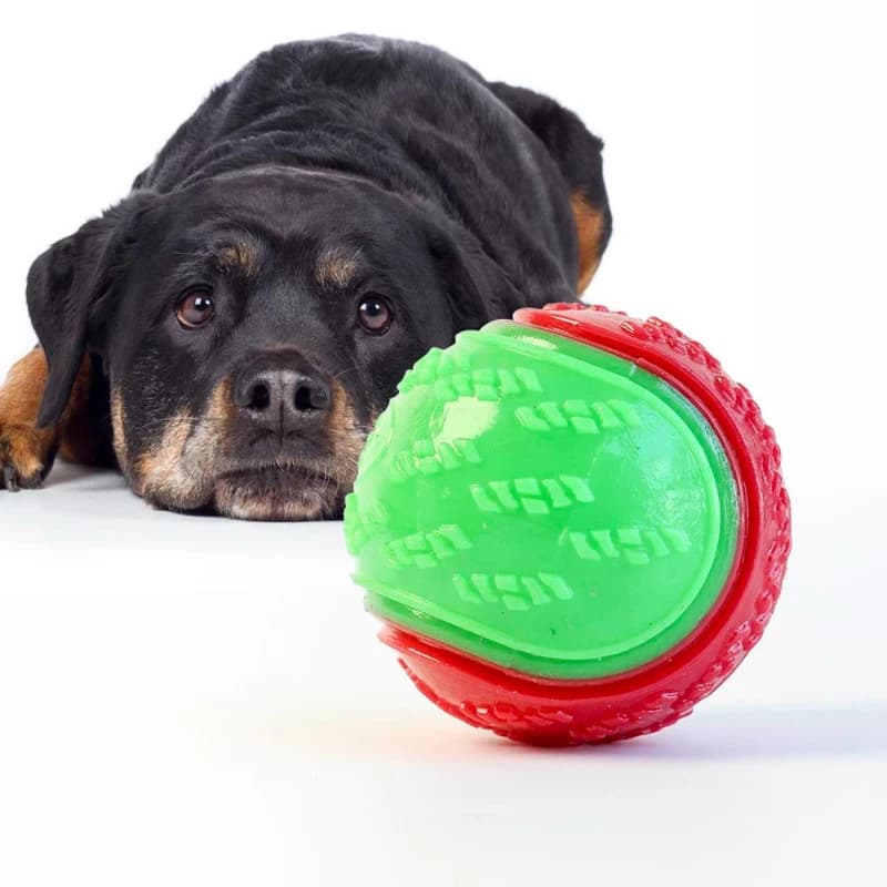 Dog Chew Ball Toy Drinding Teeth Bite-resistant Silicone Ball Puppy Toy Squeaky Teeth Cleaning Training Dog Toy Supplies - 4