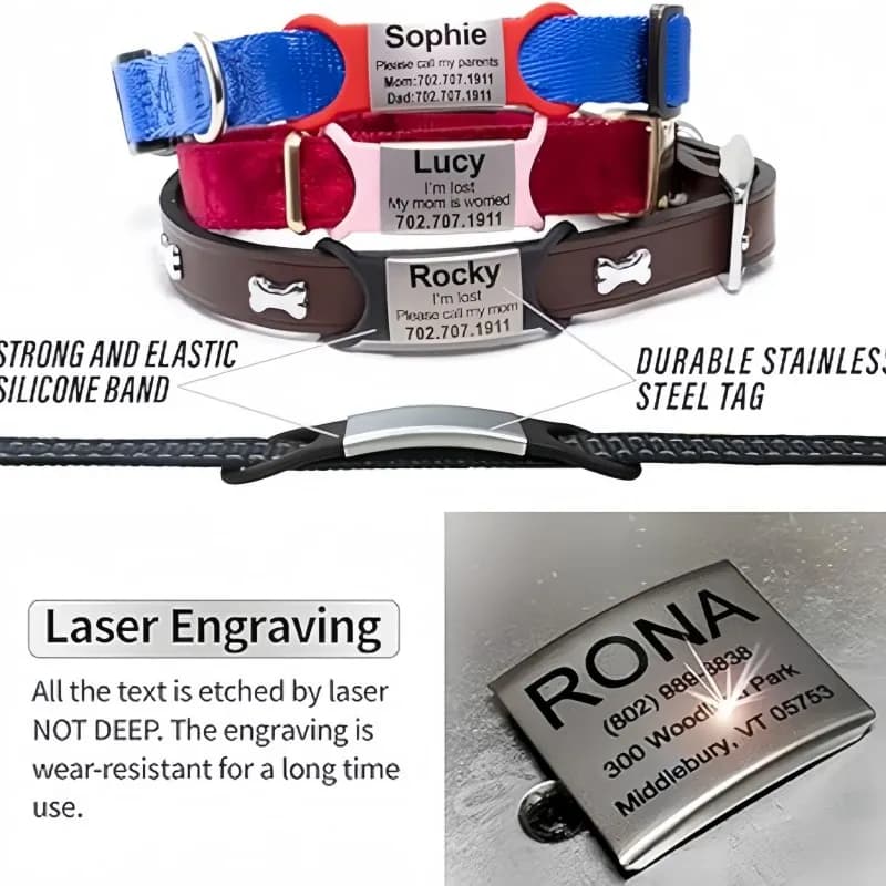 طوق مخصص للقطط والكلاب مع بطاقة هوية شخصية نقش سحر قلادة اسم قلادة عظم قلادة جرو من الفولاذ المقاوم للصدأ إكسسوارات الحيوانات الأليفة - 3