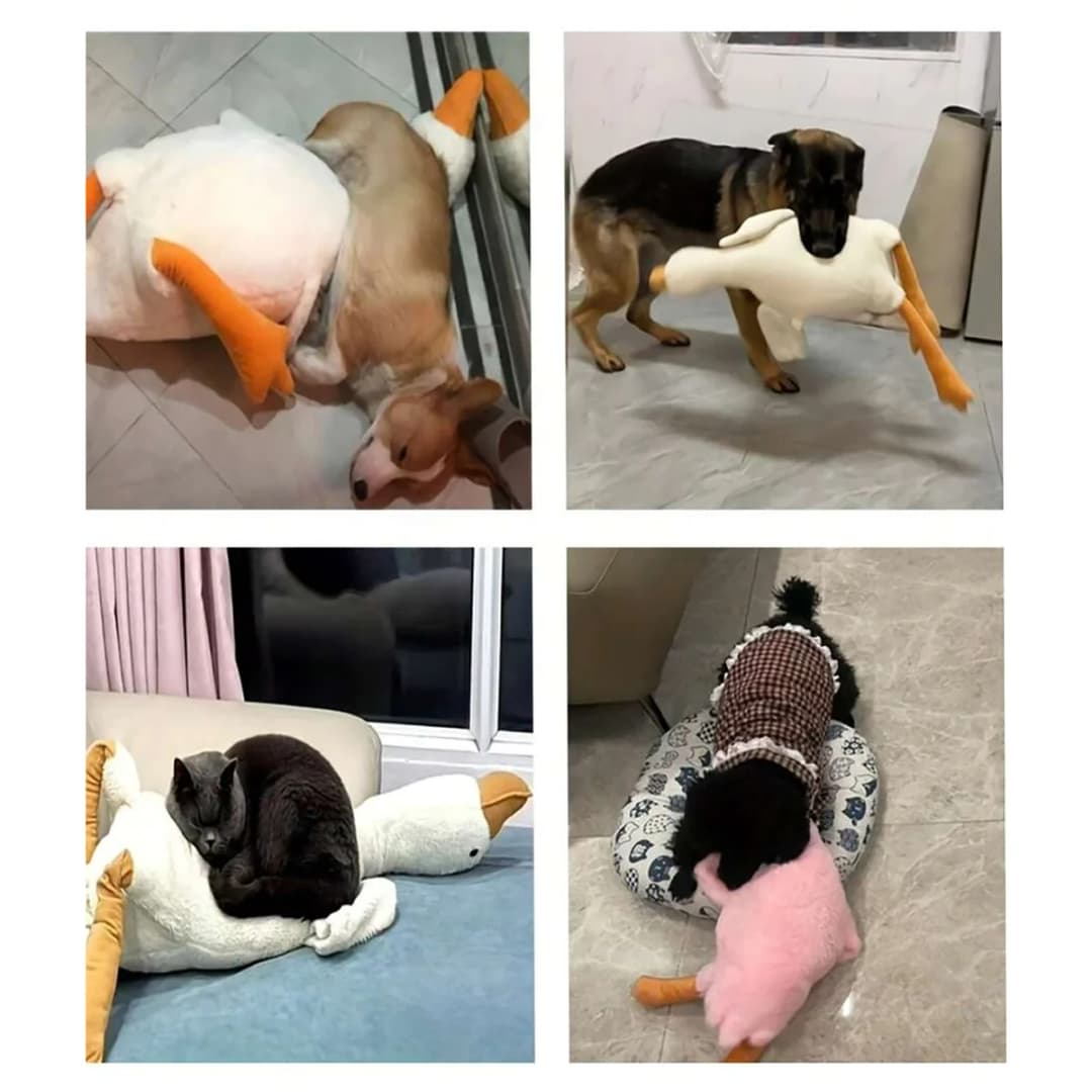 A Set of Soft Duck Plush Toys in White/Grey/Brown, Suitable for Cats and Dogs to Play With, Helping Them Play and Expend Energy, Suitable for Small to Medium-Sized Pets (Large Pets May Bite, so They Are Not Recommended for Large Pets). - 5