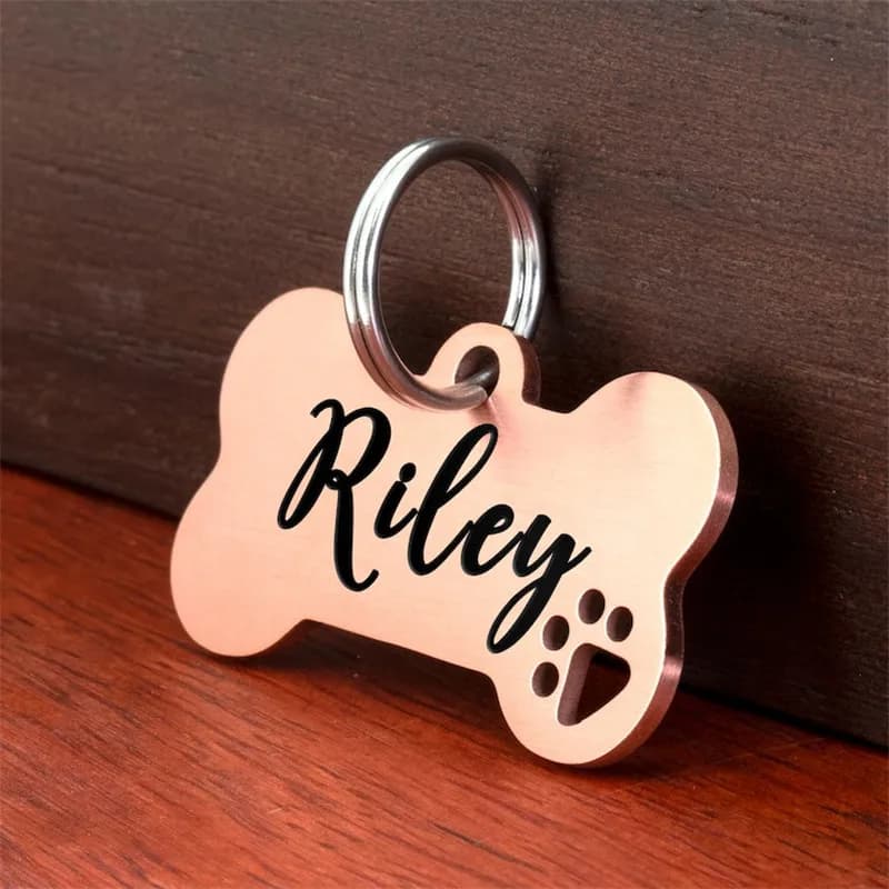 Stainless steel Personalized Engraving Anti-lost Dog ID Tag Customized Pet Name Puppy Collar Dog Cat Bone Tags Pet Supplies - 2
